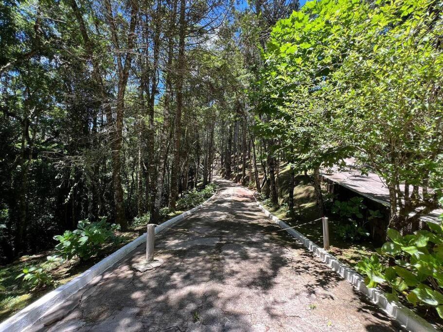 Na Regiao De * Campos do Jordao